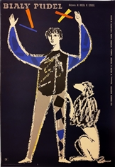 poster bialy pudel jaworowski