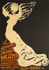 poster witch in love, zakochana wiedzma, starowieyski