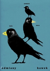 poster variety of jackdaws odmiany kawek jakub zasada